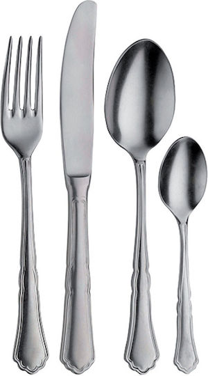Pintinox Fruit Stainless Steel Silver Spoon 18.8cm 19.26124 12 Pieces