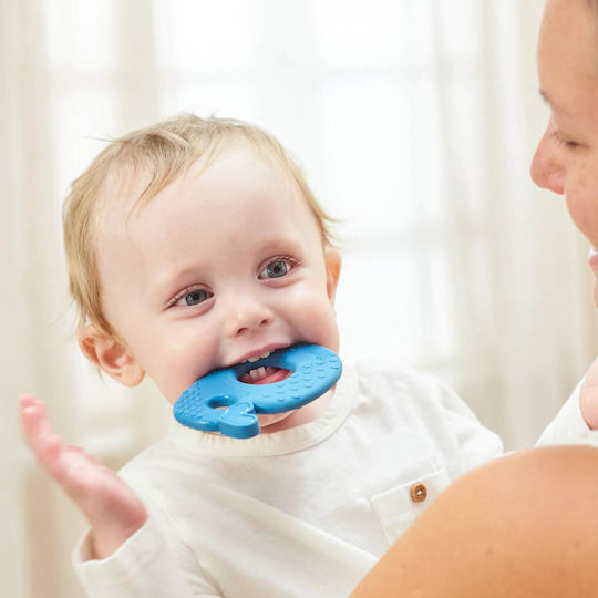 Nattou Whale Teething Ring BPA Free Silicone for 0 m+