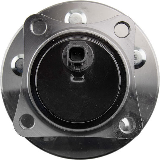 NTY Wheel Bearings