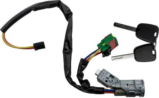 NTY Заключване на вратата Citroen C2 / C3 EST-CT-006