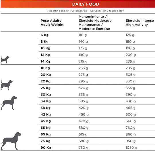 Dingonatura Natura Diet Daily Food 12kg Dry Food for Adult Dogs with Chicken and Rice