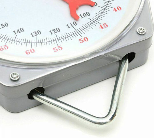 Analog Professional Hanging Scale with Weighing Capacity of 100kg and Division 100gr