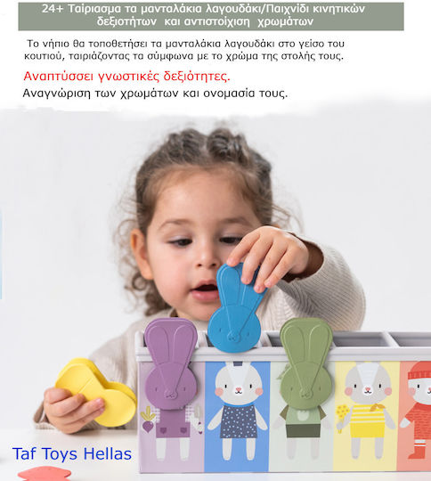 Taf Toys Shape Sorting Toy Match & Count Bunny made of Wood with Light and Sounds for 18++ Months