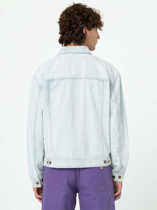 Dickies Dickies