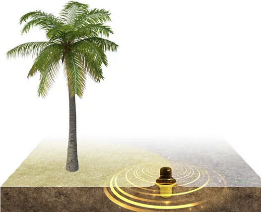 Palm-o-Trap Παγίδα