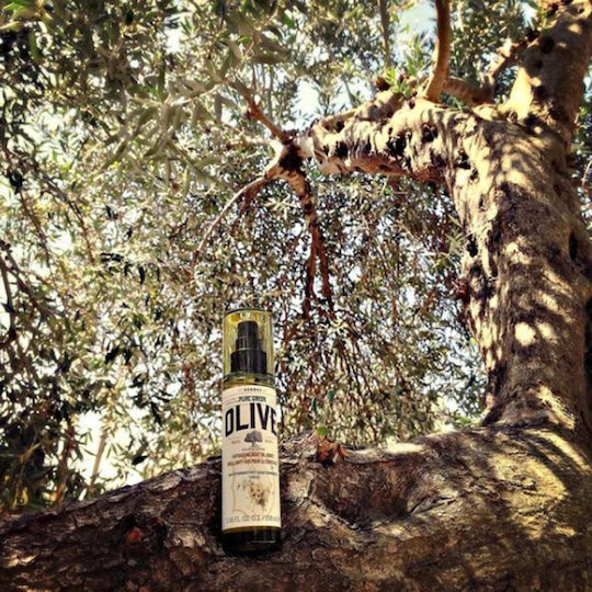 Korres Olive Organic and Dry Apricot Oil for Face and Body Anti-aging with Olive Blossoms 100ml