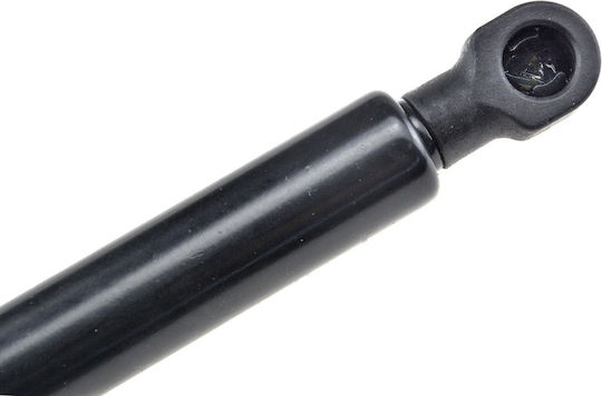 NTY Car Trunk Shock for Ford Focus