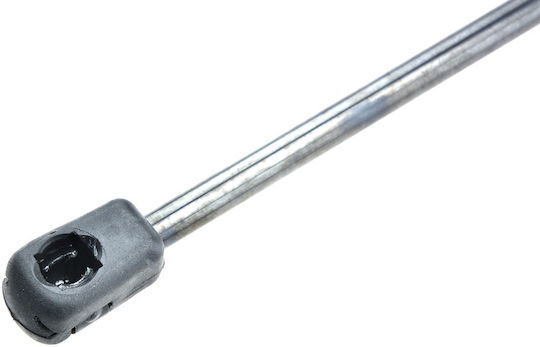 NTY Trunk Shock