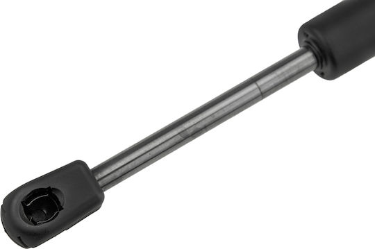 NTY NTY Motorhauben-Stoßdämpfer Für BMW Serie 5 / Serie 6 / F10