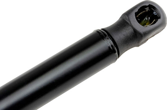 NTY Trunk Shock for Ford B-Max