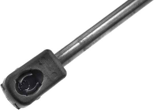 NTY Kofferraum-Schock für Chrysler 300C