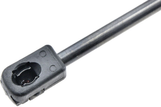 NTY Trunk Shock for Mini Cabrio Ford Focus