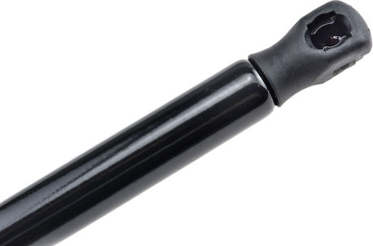 NTY Trunk Shock for Mini Cabrio Ford Focus