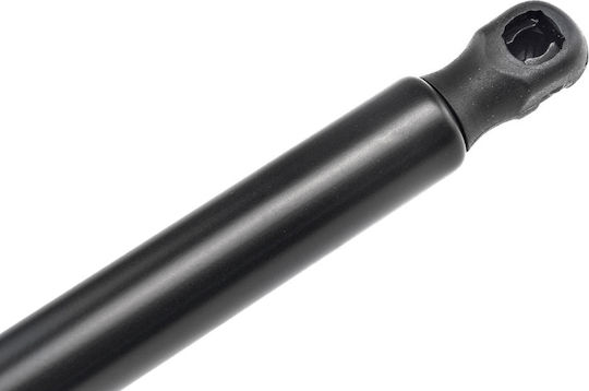 NTY Kofferraum-Schock für Renault Online-Shop