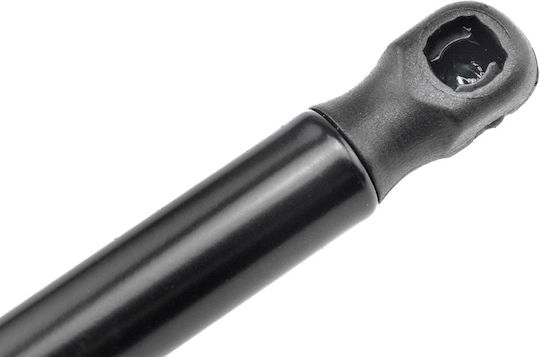 NTY Trunk Shock for Citroen C4