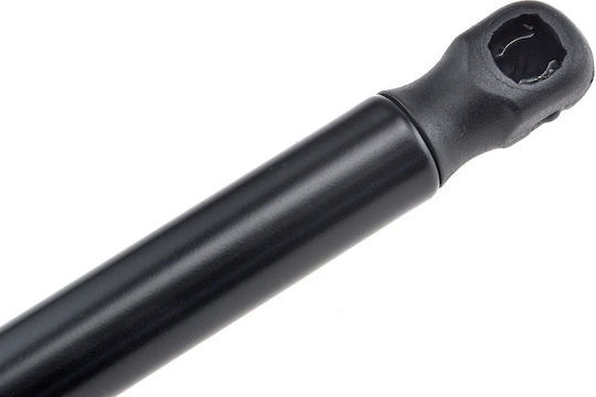 NTY Trunk Shock for Mini Cabrio