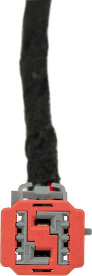 NTY Trunk Shock for Ford Edge