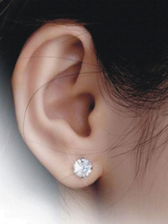 Bode Earrings made of Silver with Stones