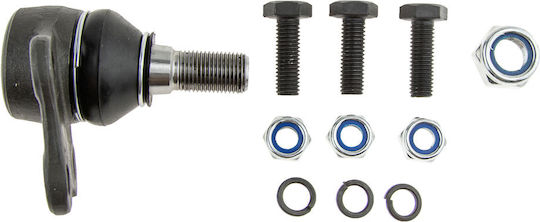 NTY Kugelgelenke für Nissan Primastar Renault Online-Shop / Laguna / Verkehr / Vel Satis ZSD-RE-001