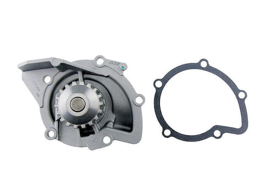 NTY Car Water Pump for Peugeot 3008 / 308 / 407 / 5008 / 508 / 807 / Expert / Expert Tepee / RCZ Fiat Scudo Toyota Proace Citroen C4 Grand Picasso / C4 / C4 Picasso / C5 / C8 / DS / DS4 / DS5 / Jumpy Ford C-Max / Focus / Galaxy / Grand C-Max / Kuga / Mondeo / S-Max