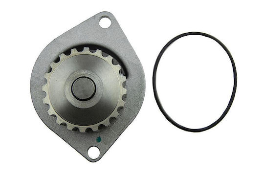 NTY Car Water Pump for Peugeot 106 / 205 / 206 / 306 / 307 / 308 / 405 / Partner Citroen AX / BX / C15 / Saxo / Xsara / Xsara Picasso / ZX Nissan Micra
