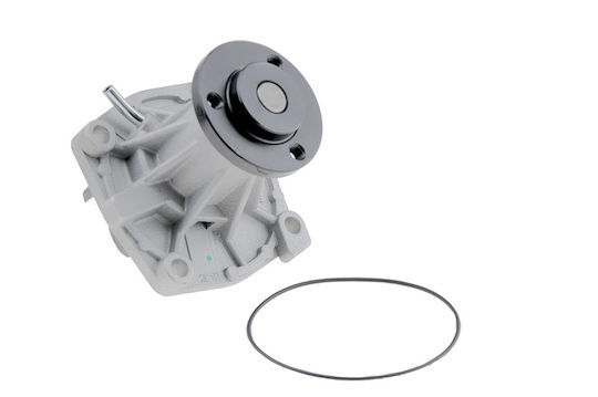 NTY Car Water Pump for Opel Frontera Fiat Cinquecento / Panda / Seicento Suzuki Baleno / X-90 Mercedes-Benz SL Renault Clio / Kangoo / Megane / Scenic / Thalia Mitsubishi Carisma / Space Gear / L400 BMW X3 Kia Carnival Chrysler Grand Voyager / Voyager Nissan Cabstar / PickUp / Serena / Trade / Vanette Ford B-Max / C-Max / EcoSport / Fiesta / Focus / Grand C-Max / Mondeo / Scorpio / Tourneo Connect / Grand Tourneo / Tourneo Courier / Transit Connect / Transit Courier Jeep Cherokee / Grand Cherokee Dacia Logan / Logan MCV / Logan Pick-Up / Sandero CPW-CH-008
