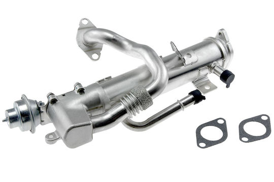 NTY Ψυγείο EGR Αυτοκινήτου για Seat Exeo Audi A4 / Allroad / A5 / A6 / Q5