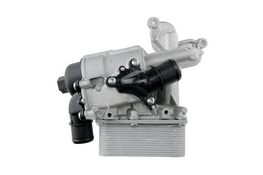 NTY Ψυγείο Λαδιού Αυτοκινήτου για Opel Vivaro Renault Laguna / Trafic Nissan Qashqai