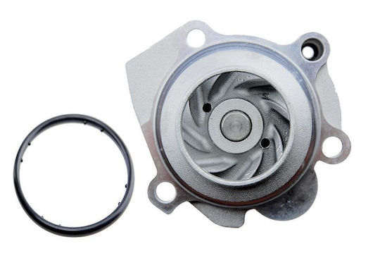 NTY Pompa de apă auto pentru Opel Combo Fiat 124 Spider / 500 / 500L / 500X / Brava / Felicitări / Doblo / Fiorino / Grande Punto / Ideea / Linia / Marea / Palio / Panda / Punct / Punto Evo / Qubo / Siena / Stilo / Magazin online / Magazin online Toyota Avensis / Camry / Carina / Corolla / Lite-Ace / Picnic Seat Alhambra / Altea / Arosa / Cordoba / Ibiza / Leon / Toledo Skoda Fabia / Praktik / Octavia / Roomster / Superb Volkswagen Magazin online de golf / Caddy / Vulpe / Golf Plus / Jetta / Lupo / Transportator / T5 / Passat / Polo / Magazin online Sharan / Turul Audi A2 / A3 Nissan Ridicare Ford Fiesta / Galaxie / Magazin online / Tranzit / Turneo Alfa Romeo Giulietta / Mito Mazda 121 Jeep Renegade Lexus Magazin online / Magazin online Lancia Delta / Musa / Ypsilon CPW-AU-029