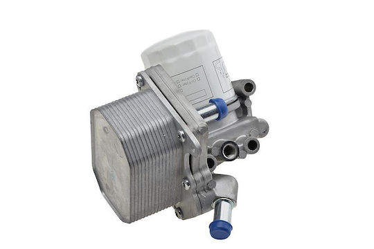 NTY Car Oil Radiator for Fiat Ducato Citroen Jumper Ford Transit