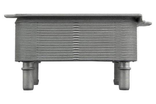NTY Ψυγείο Λαδιού Αυτοκινήτου για Land Rover Range Rover / Range Rover Sport