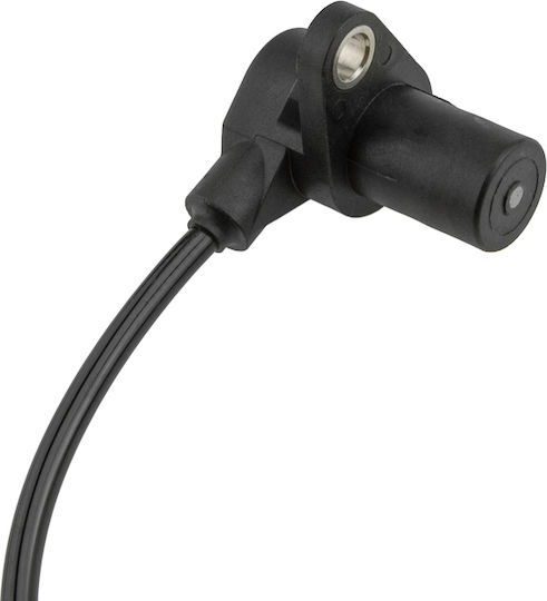 NTY Nockenwellensensor Autokühler für Nissan Abholung Ford Ranger
