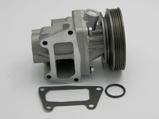 NTY Car Water Pump for Fiat Palio / Punto / Siena / Tempra / Tipo Lancia Dedra / Delta