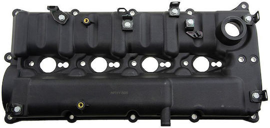 NTY Engine Head Cover for Kia Sorento Hyundai H-1