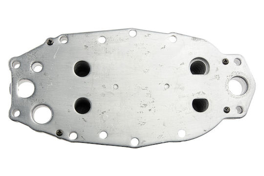 NTY Ψυγείο Λαδιού Αυτοκινήτου για Renault Coupe Citroen C5 / C6 Hyundai Coupe Land Rover Range Rover / Range Rover Sport / Discovery