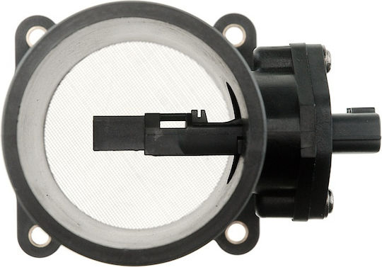 NTY Luftmassensensor Autokühler für Toyota RAV 4 Nissan Maxima / Patrouille