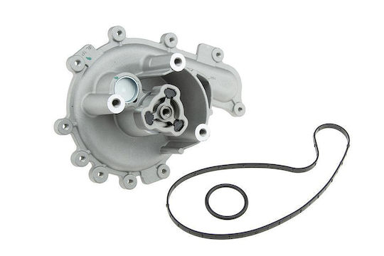 NTY Αντλία Νερού Αυτοκινήτου για Peugeot Boxer Fiat Ducato Citroen Jumper Ford Tourneo Custom / Transit / Transit Custom / Tourneo