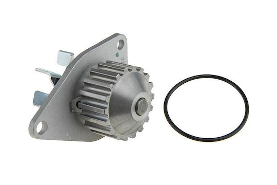 NTY Car Water Pump for Peugeot 1007 / 106 / 206 / 207 / 306 / 307 / Bipper / Bipper Tepee / Partner Fiat Fiorino / Qubo Citroen Berlingo / C2 / C3 / C3 Pluriel / Nemo / Saxo / Xsara