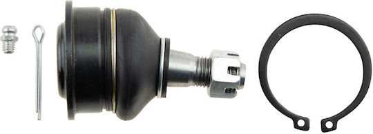NTY Kugelgelenke für Mitsubishi Abholung Nissan NP300 / Navara / Pfadfinder ZSG-NS-004