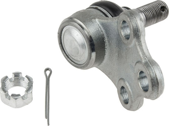 NTY Kugelgelenke für Nissan Pfadfinder ZSD-NS-022