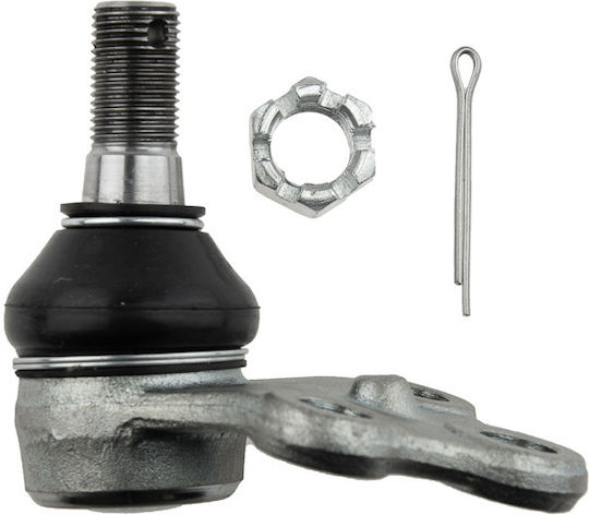 NTY Kugelgelenke für Nissan Pfadfinder ZSD-NS-022