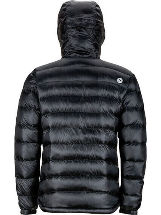 Marmot Marmot