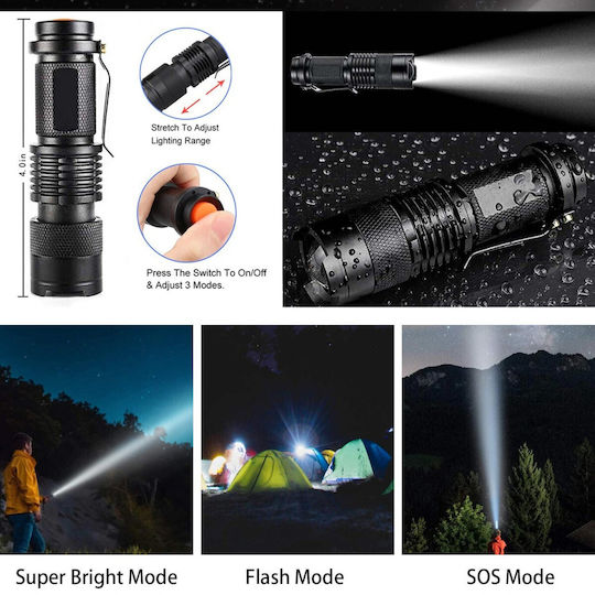 Set Case Case Survival with Firestarter