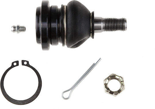 NTY Kugelgelenke für Lexus Geschäftsbedingungen / RC (German translation): Fernbedienung Toyota Krone / Lexus ZSG-TY-010