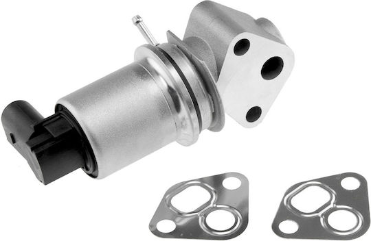 NTY Car EGR valve για Seat Leon / Toledo Volkswagen Bora / Golf Audi A3