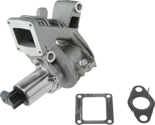 NTY Car EGR valve για Renault Grand Scenic / Laguna / Megane / Scenic