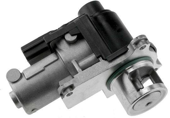 NTY Вентил EGR Кола за Volkswagen Beetle / Golf / Jetta