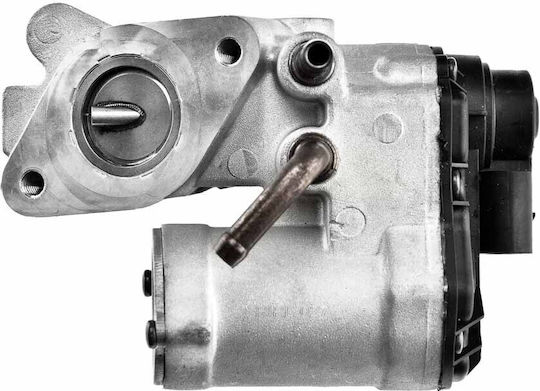 NTY Car EGR valve για Opel Movano Renault Mascott / Master Nissan Interstar