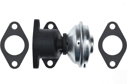 NTY Car EGR valve για Skoda Superb Volkswagen Passat Audi A4 / A6 / A8 / Allroad