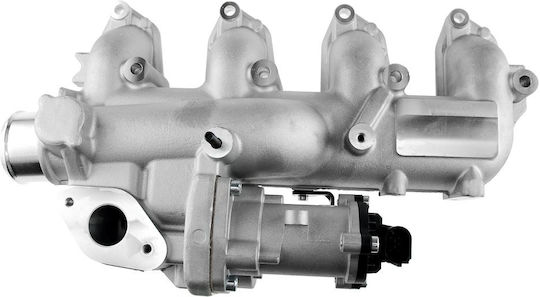 NTY Вентил EGR Кола за Ford C-Max / Focus C-Max / Focus / Galaxy / Mondeo / S-Max / Tourneo Connect / Transit Connect